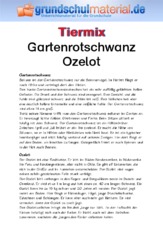 Gartenrotschwanz - Ozelot.pdf